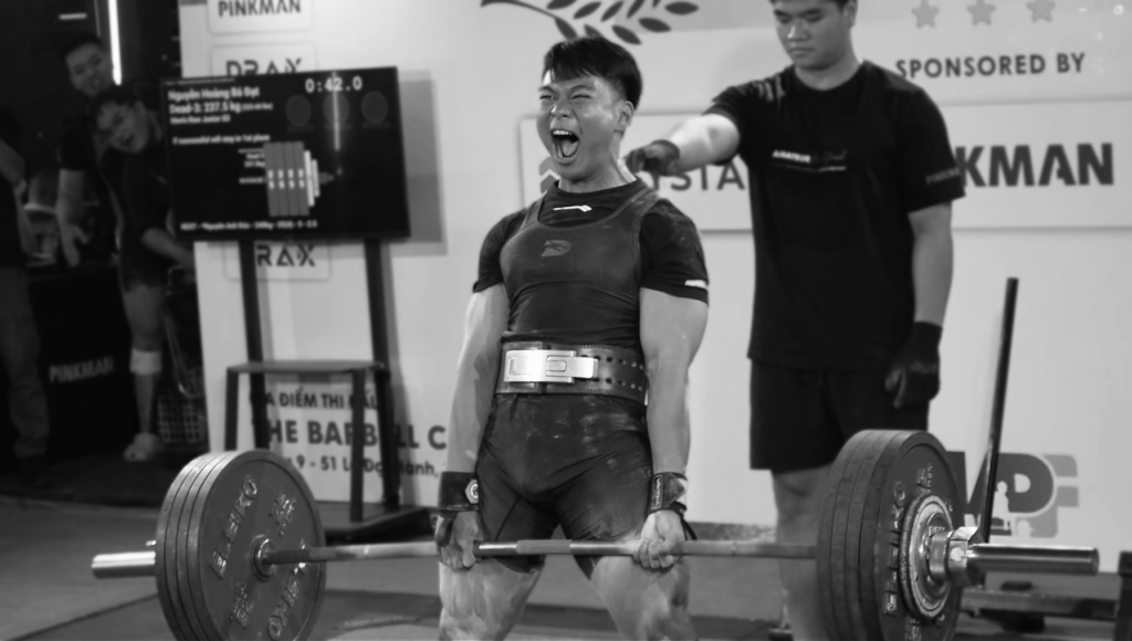 Home lever belt , gym , gear