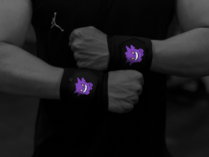 goku wraps (sao chép)