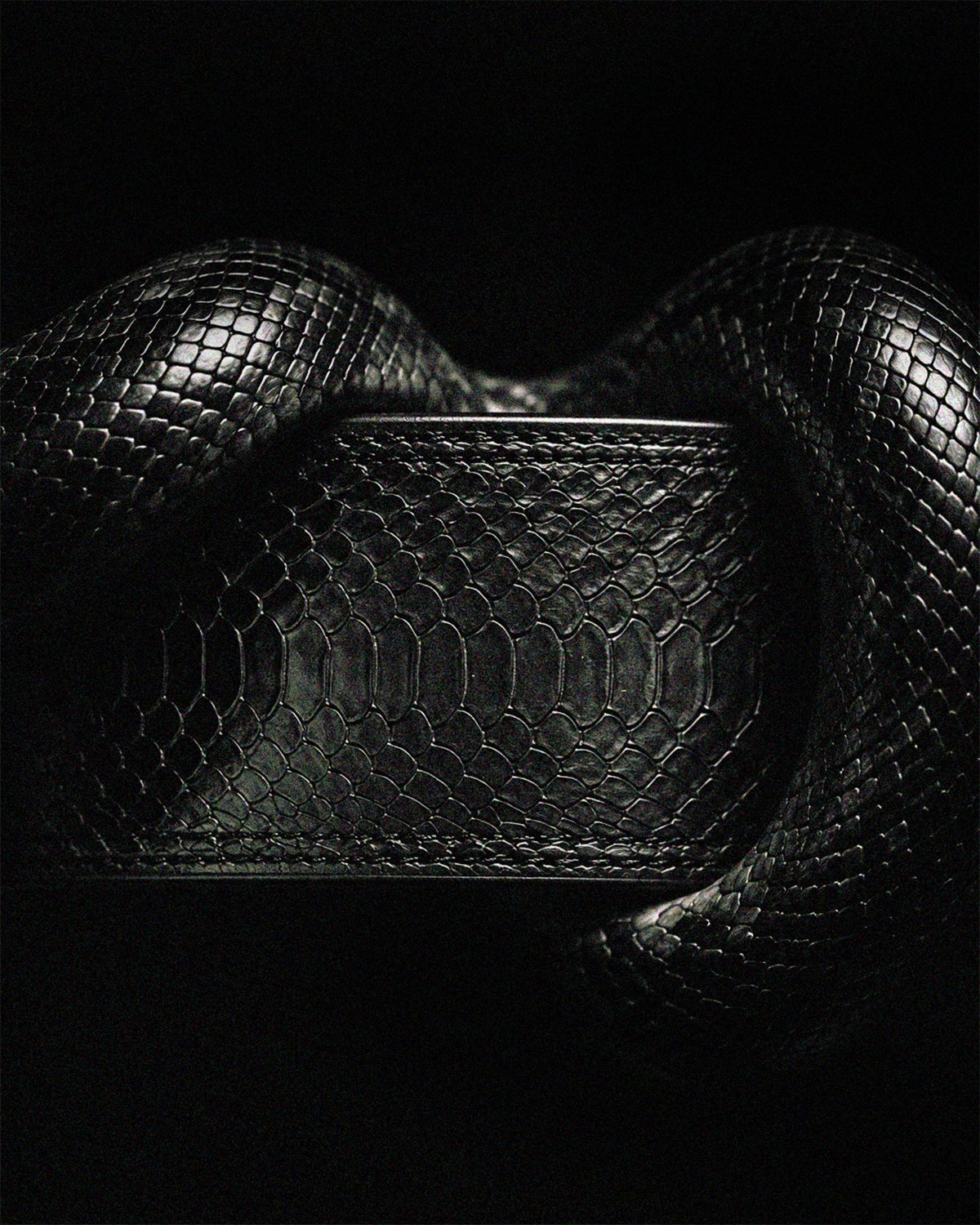 untitled 1